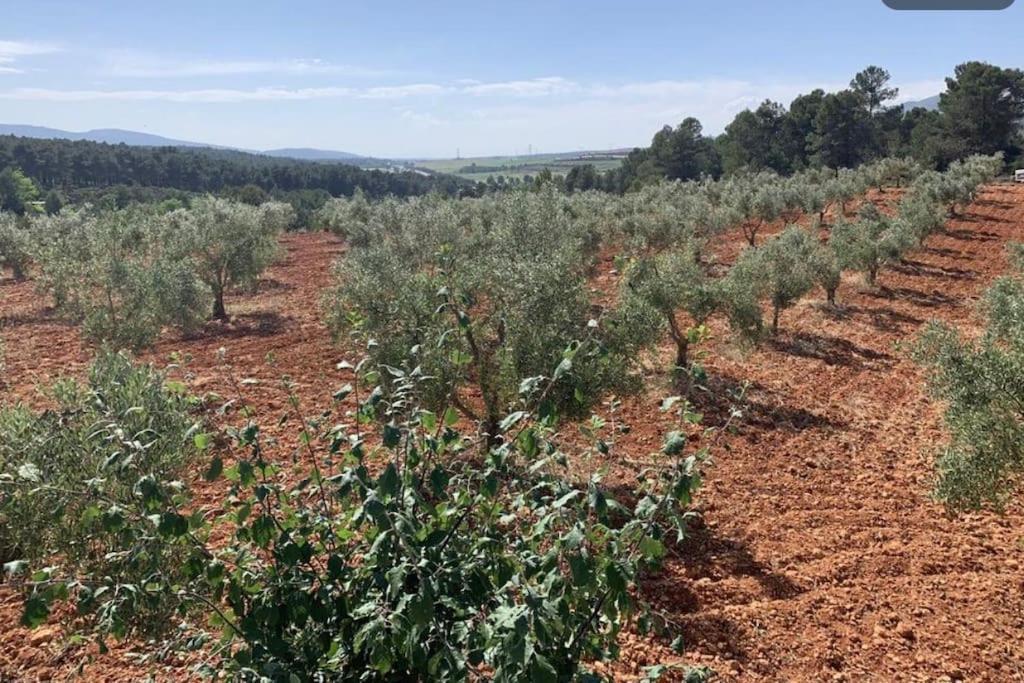 Siete Aguas El-Cortijo 빌라 외부 사진